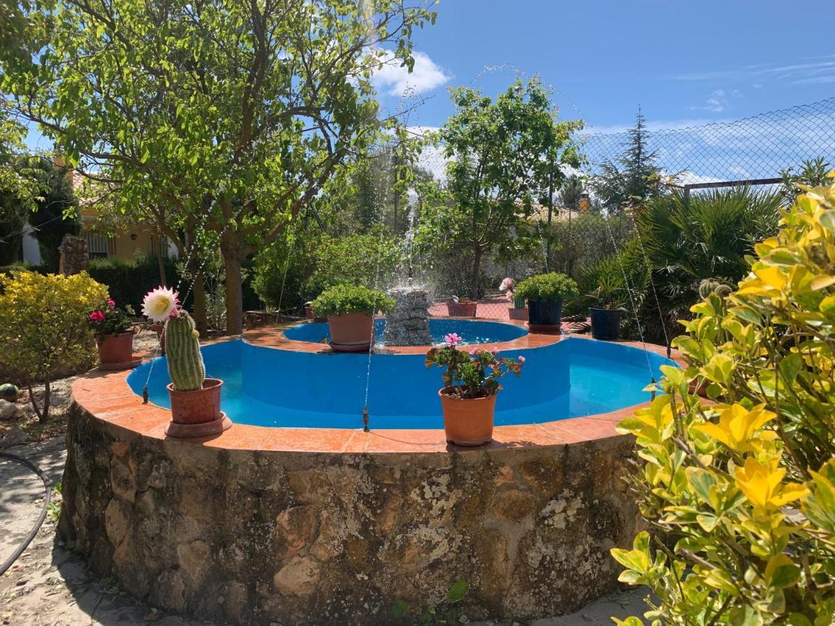 Torcales Del Lobo Apartamentos Rurales Pozo Alcon Bagian luar foto